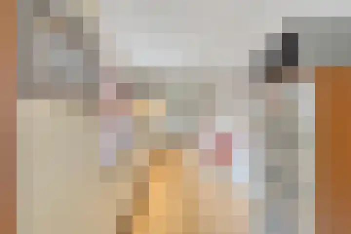 Grasplantsoen 8 Eindhoven thumbnail 18