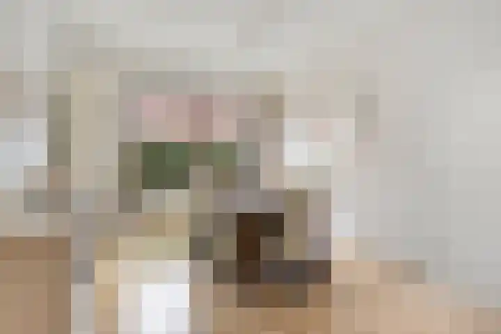 Grasplantsoen 8 Eindhoven thumbnail 20