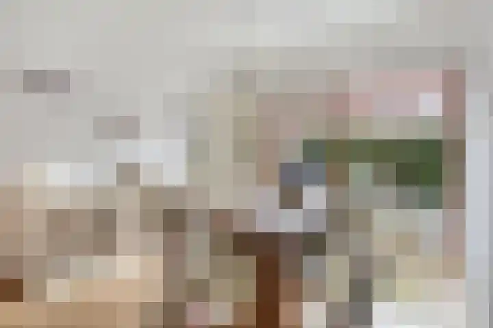 Grasplantsoen 8 Eindhoven thumbnail 21