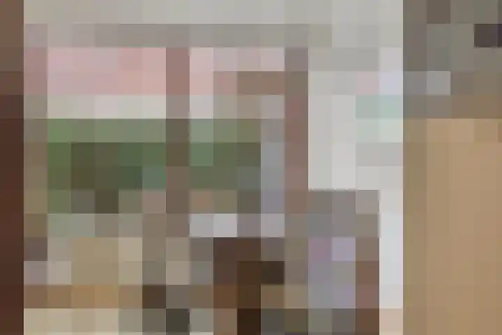 Grasplantsoen 8 Eindhoven thumbnail 22