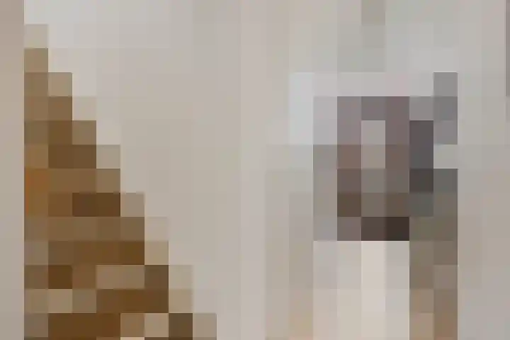 Grasplantsoen 8 Eindhoven thumbnail 24