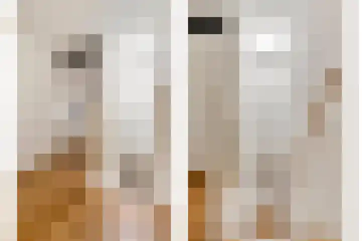 Grasplantsoen 8 Eindhoven thumbnail 25