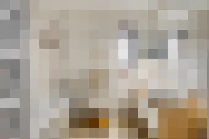 Grasplantsoen 8 Eindhoven thumbnail 30