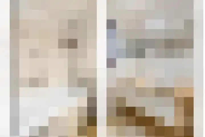 Grasplantsoen 8 Eindhoven thumbnail 31