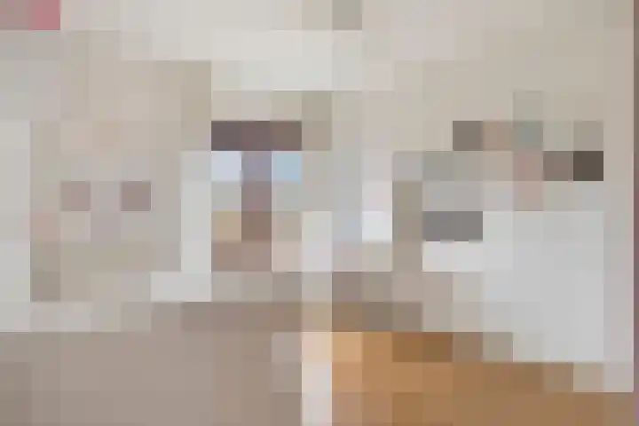 Grasplantsoen 8 Eindhoven thumbnail 32