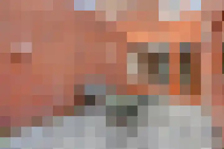 Grasplantsoen 8 Eindhoven thumbnail 34