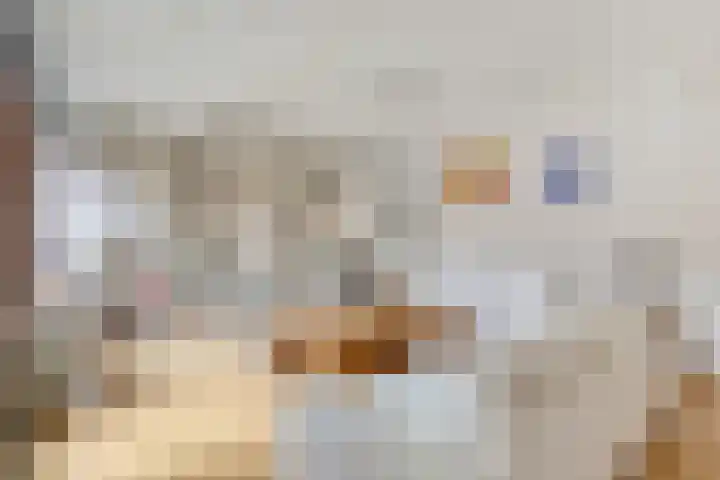 Grasplantsoen 8 Eindhoven thumbnail 8