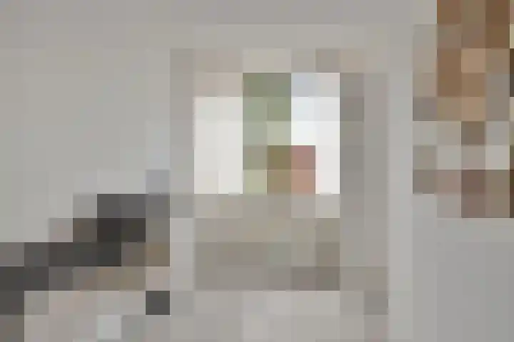 Grasplantsoen 9 Eindhoven thumbnail 15