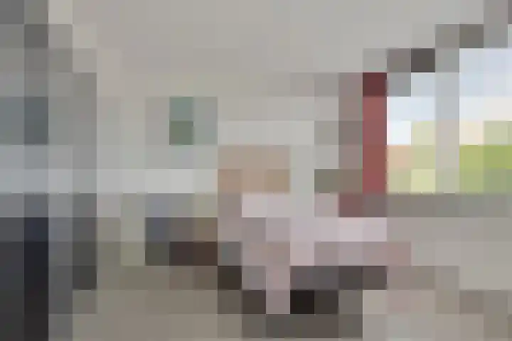 Grasplantsoen 9 Eindhoven thumbnail 19