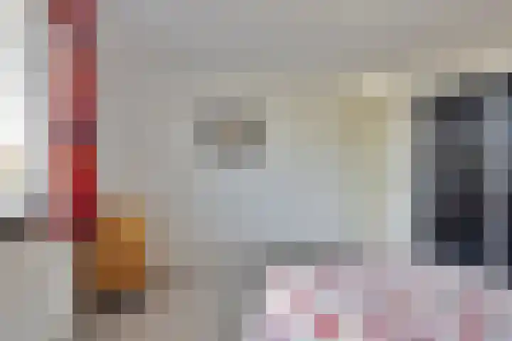Grasplantsoen 9 Eindhoven thumbnail 20