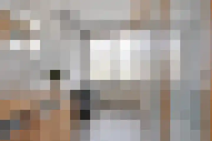 Grasplantsoen 9 Eindhoven thumbnail 21