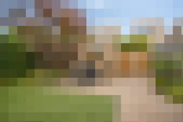 Grasplantsoen 9 Eindhoven thumbnail 22