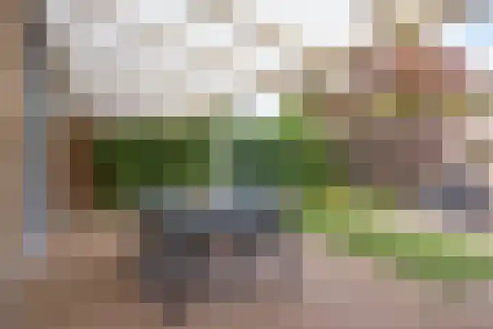 Grasplantsoen 9 Eindhoven thumbnail 24