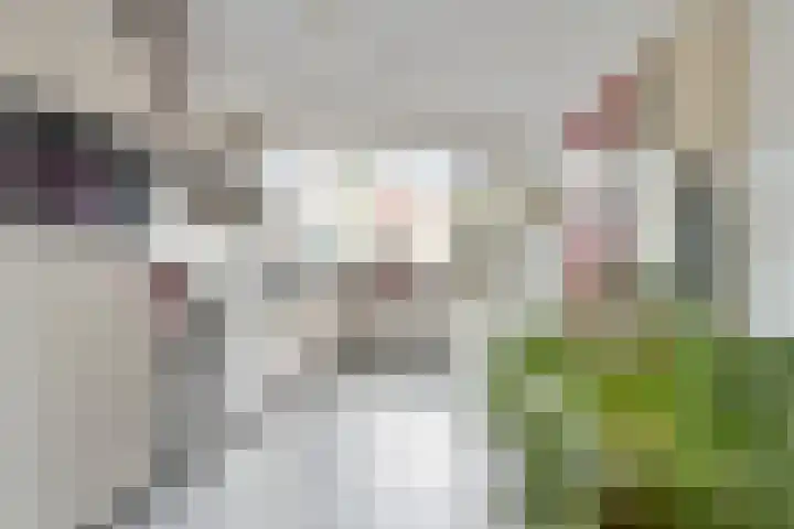 Grasplantsoen 9 Eindhoven thumbnail 7