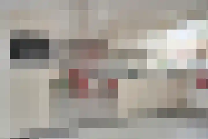 Grasplantsoen 9 Eindhoven thumbnail 8
