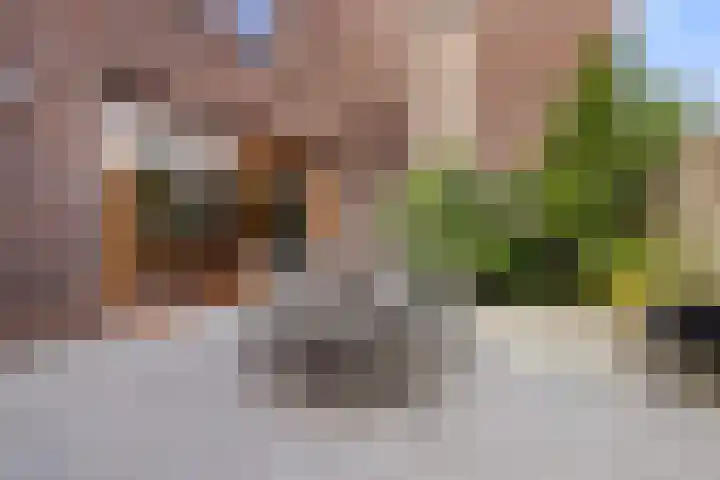 Grasplein 1 Eindhoven thumbnail 33