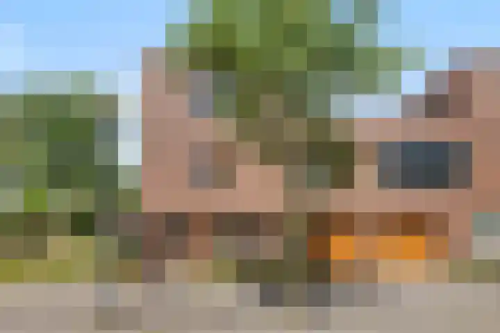 Grasplein 1 Eindhoven thumbnail 37