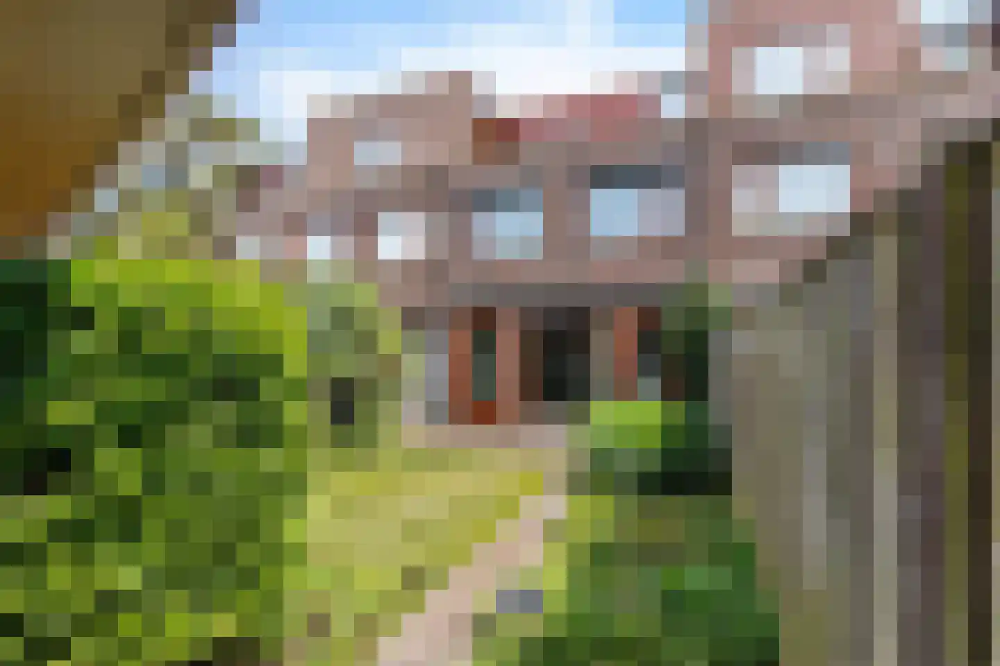 Graspol 12 Eindhoven thumbnail 34