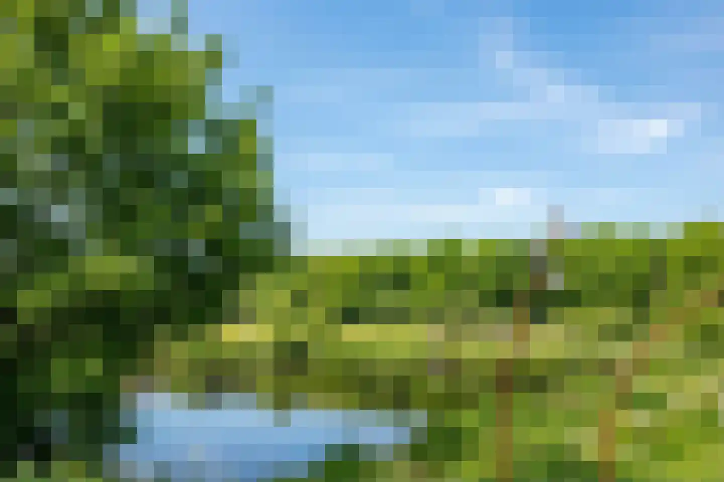 Graspol 12 Eindhoven thumbnail 36