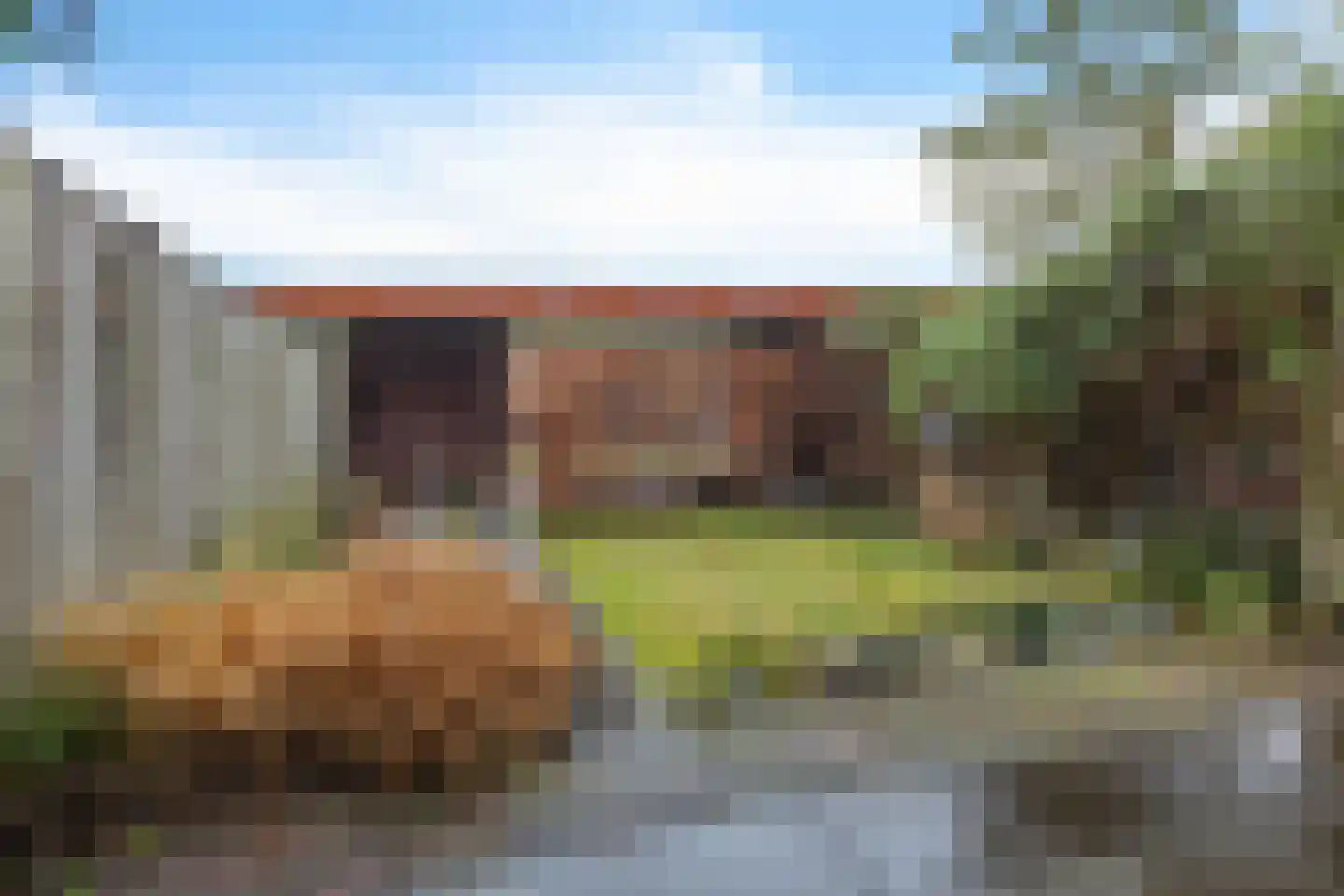 Graspol 12 Eindhoven thumbnail 4
