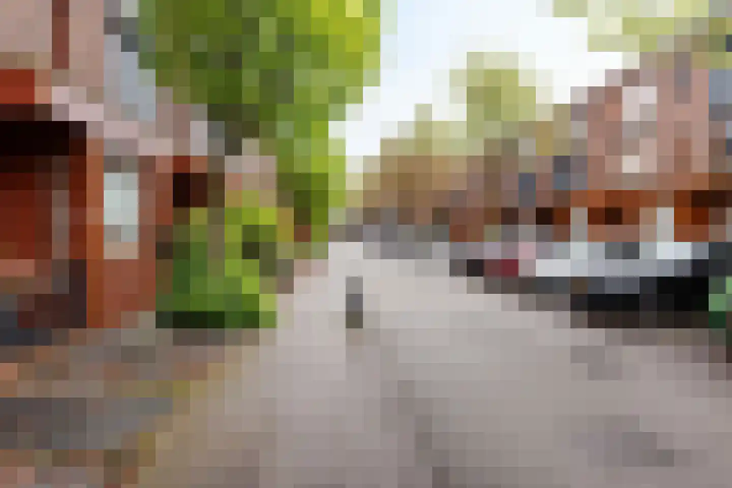 Graspol 12 Eindhoven thumbnail 6