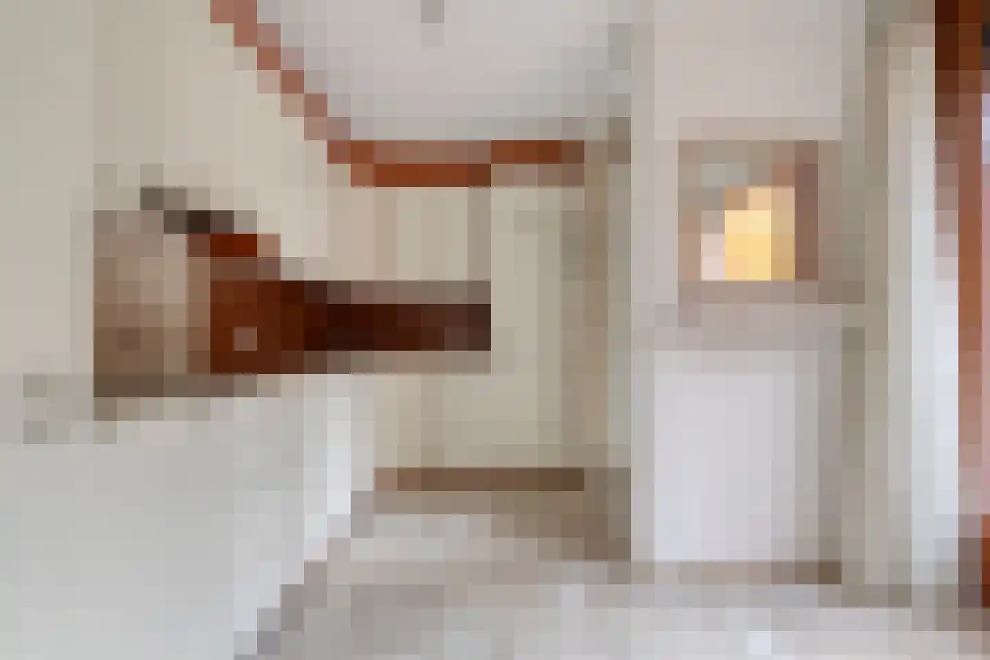 Graspol 21 Eindhoven thumbnail 11