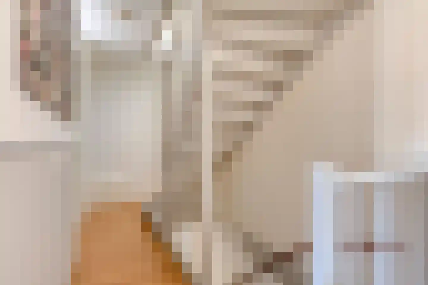 Graspol 21 Eindhoven thumbnail 14
