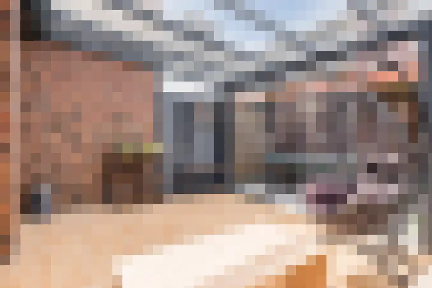 Graspol 34 Eindhoven thumbnail 14