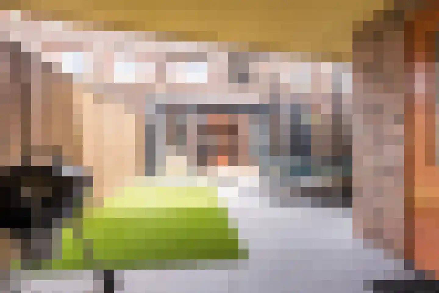 Graspol 34 Eindhoven thumbnail 31