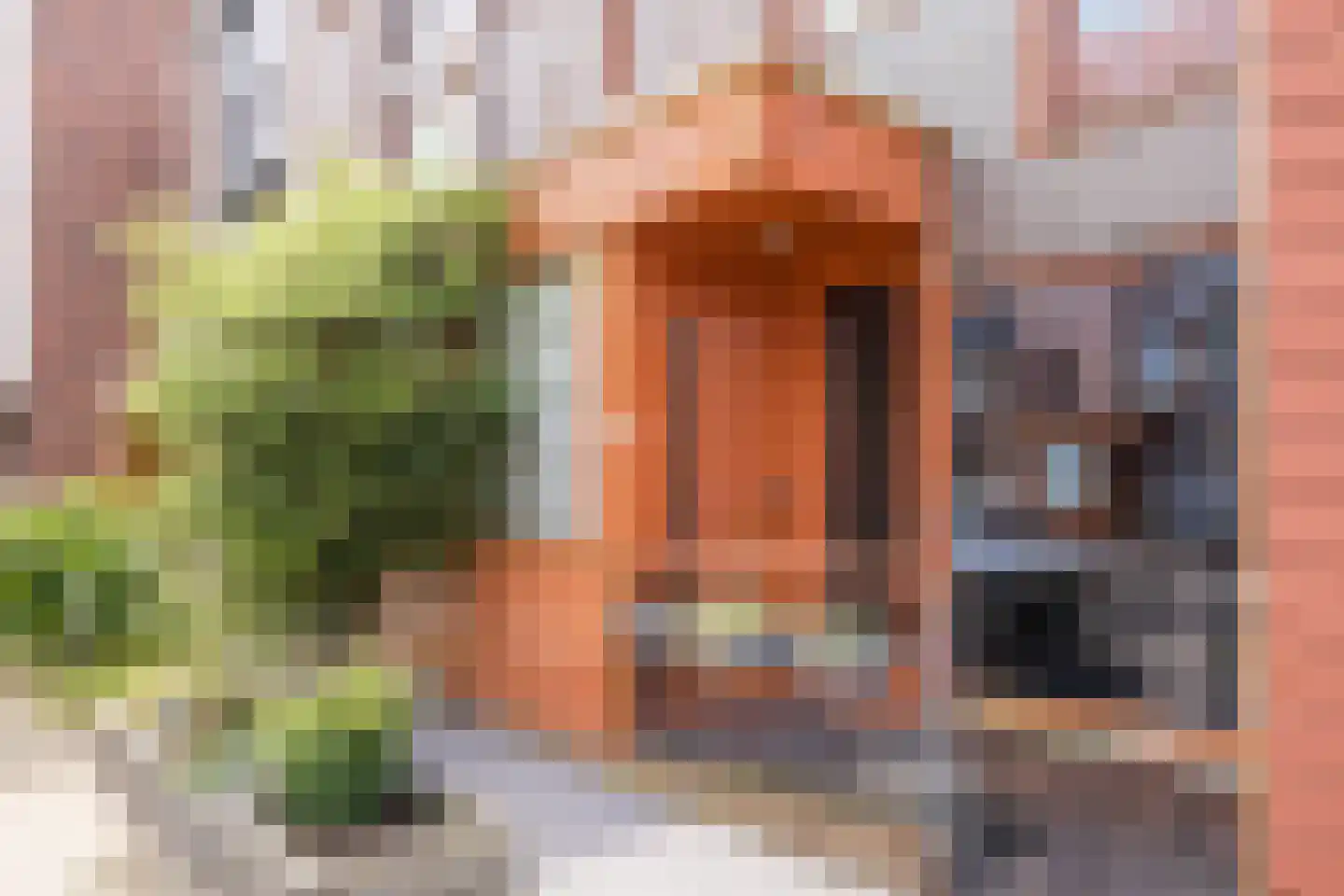 Graspol 34 Eindhoven thumbnail 4