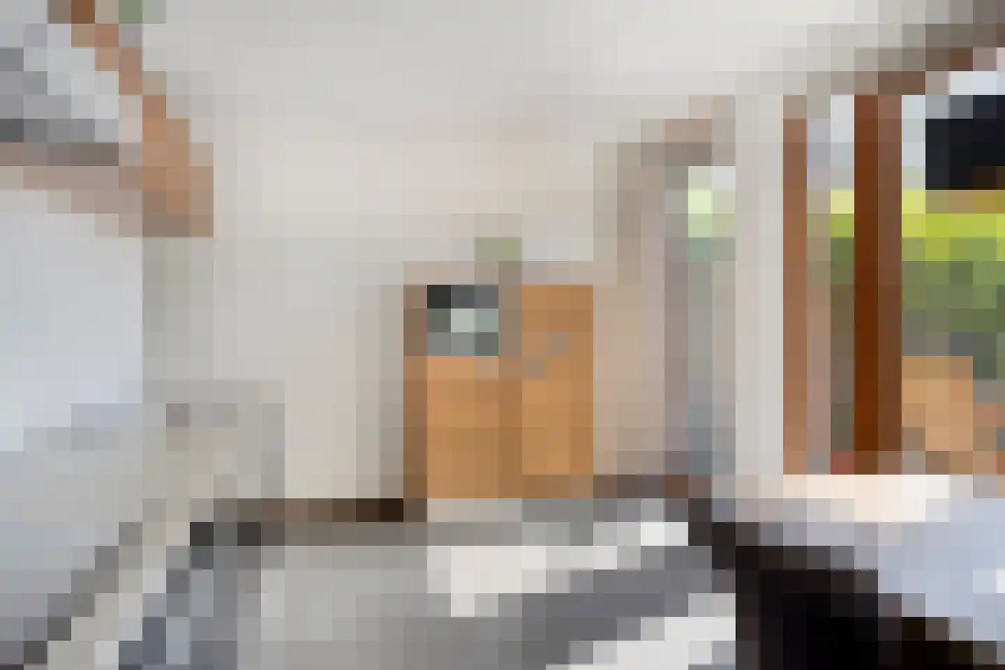 Graspol 8 Eindhoven thumbnail 15