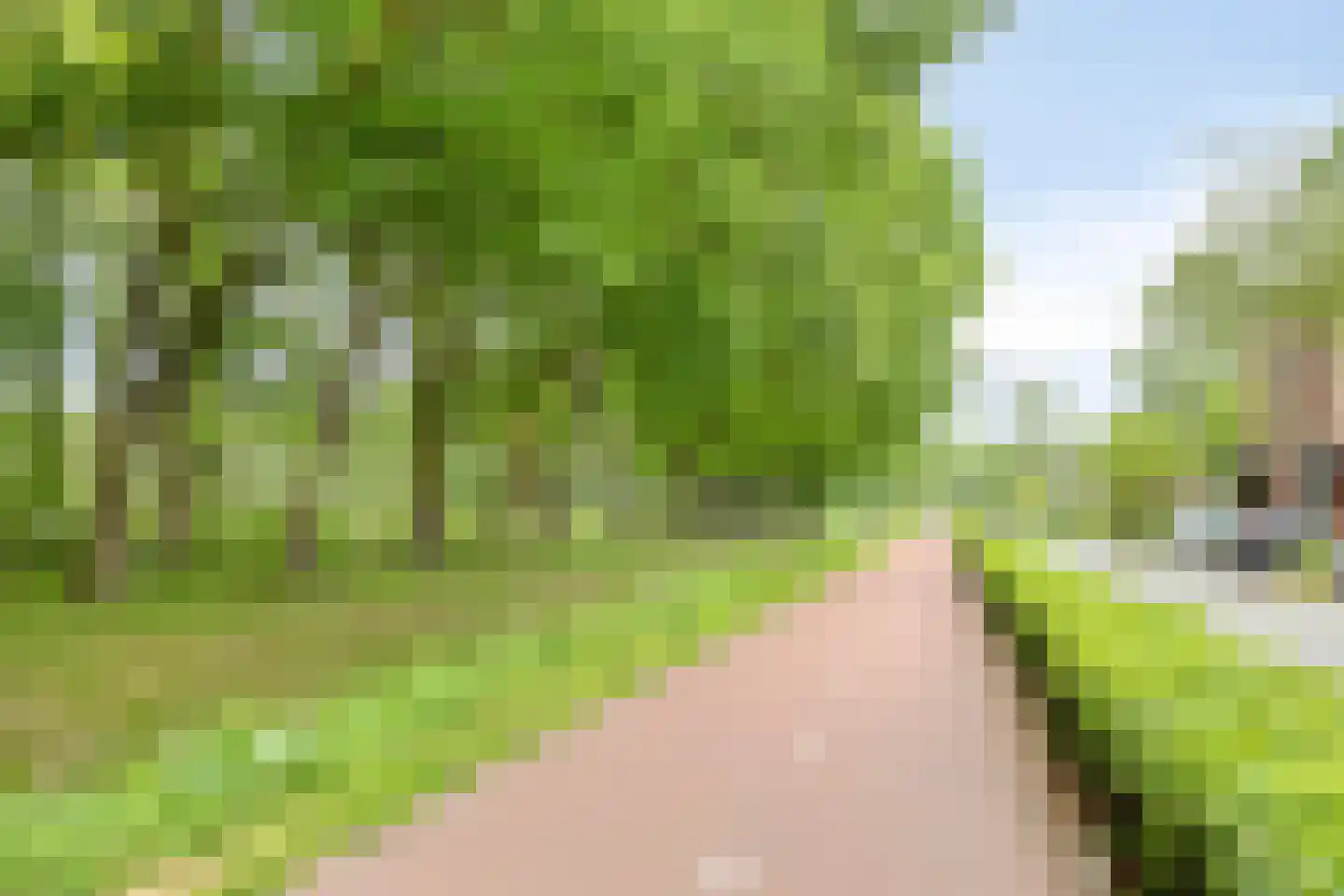Graspol 8 Eindhoven thumbnail 35