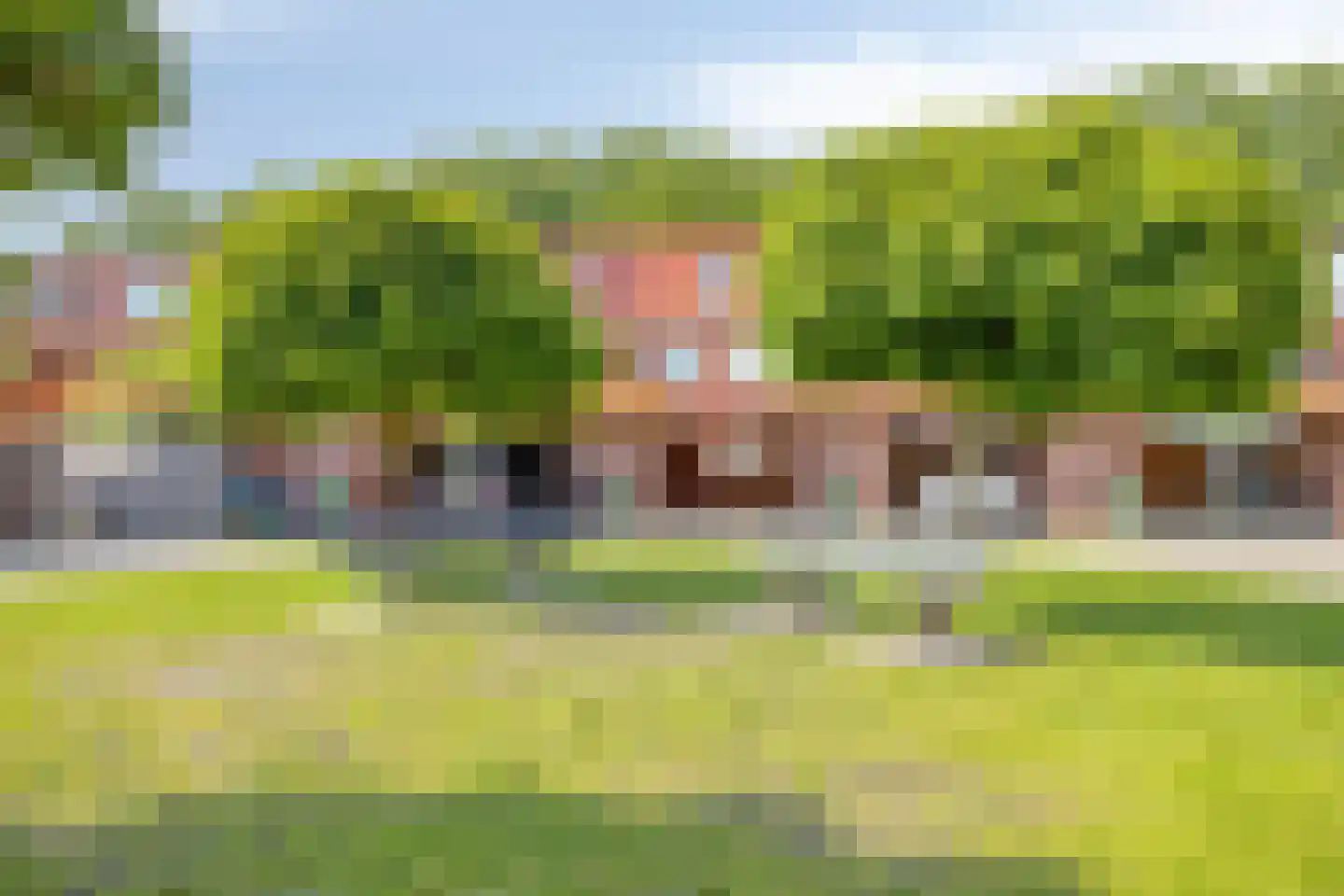 Graspol 8 Eindhoven thumbnail 4