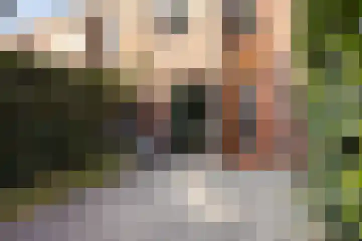 Grasrups 8 Eindhoven thumbnail 25