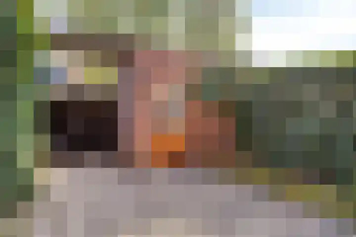 Grasrups 8 Eindhoven thumbnail 26