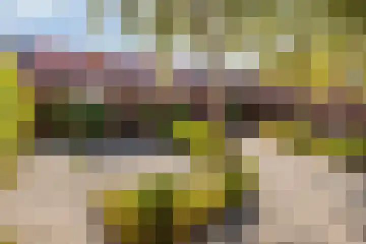 Grasrups 8 Eindhoven thumbnail 27