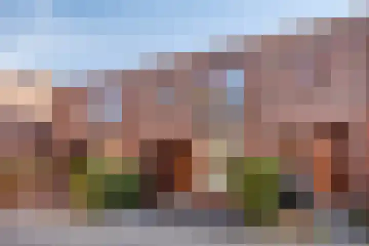Grasrups 8 Eindhoven thumbnail 28