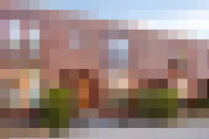 Grasrups 8 Eindhoven thumbnail 6