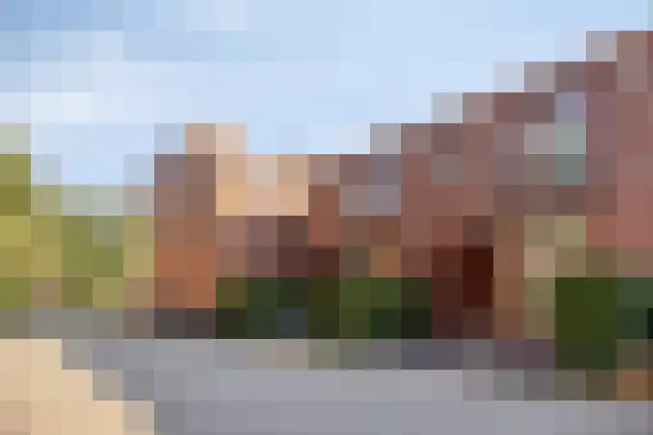 Grasrups 8 Eindhoven thumbnail 7