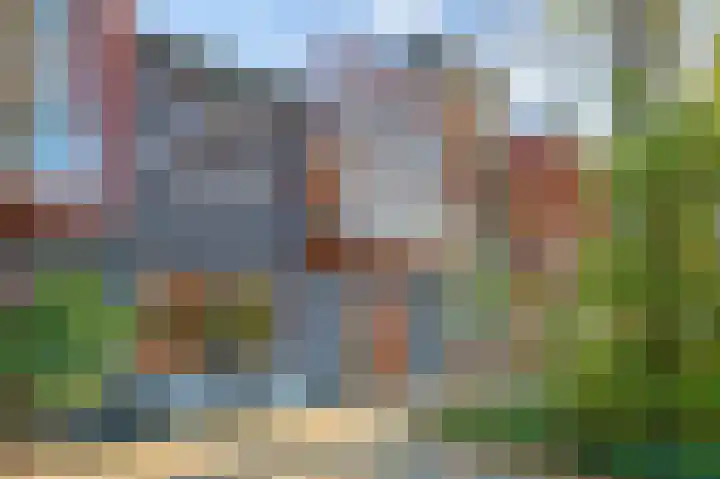 Grassavanne 10 Eindhoven