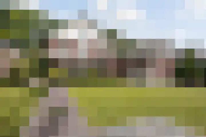 Grassavanne 108 in Eindhoven