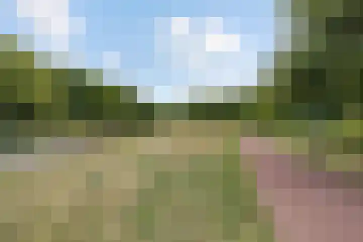 Grassavanne 108 Eindhoven thumbnail 45