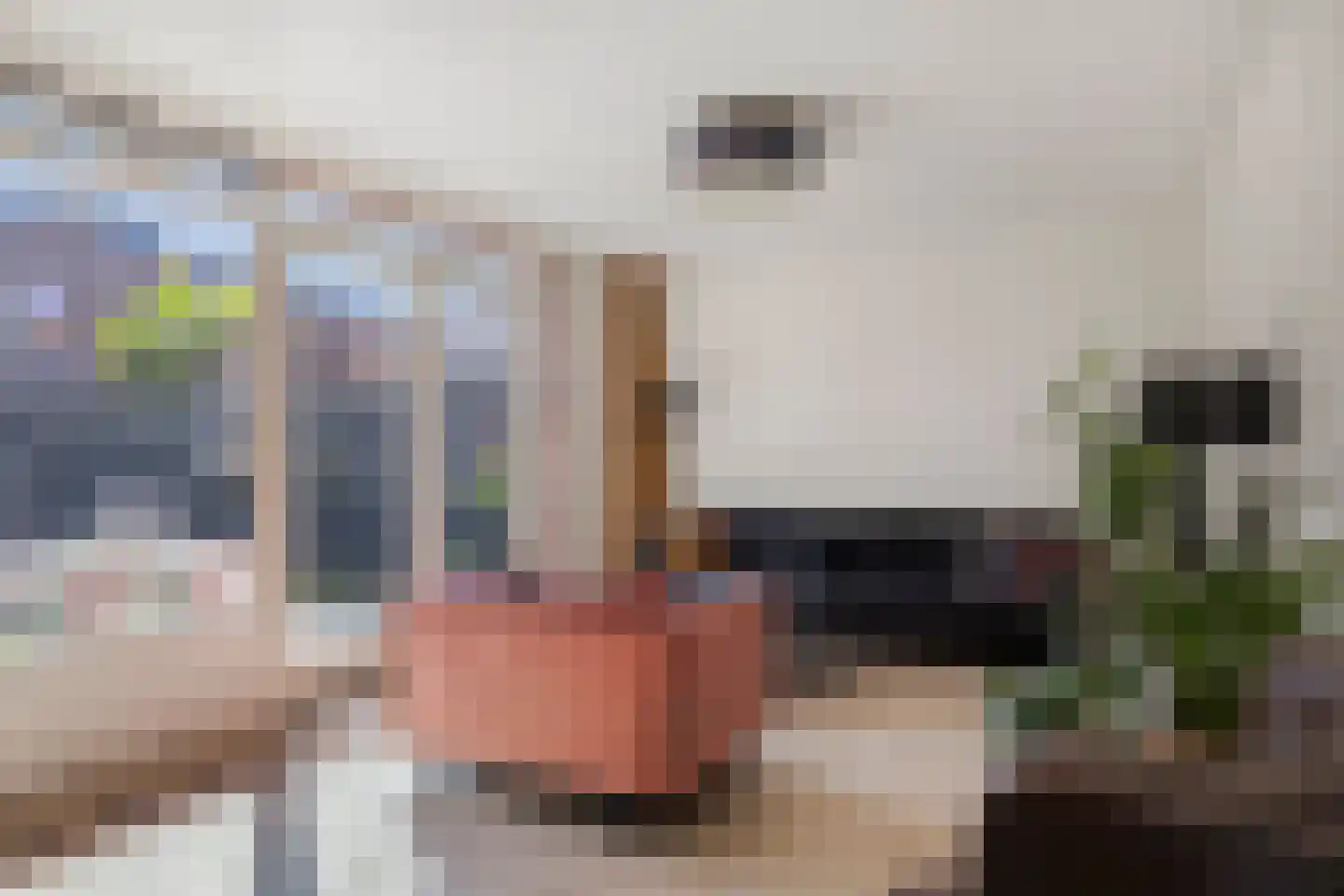 Grassavanne 58 Eindhoven thumbnail 10