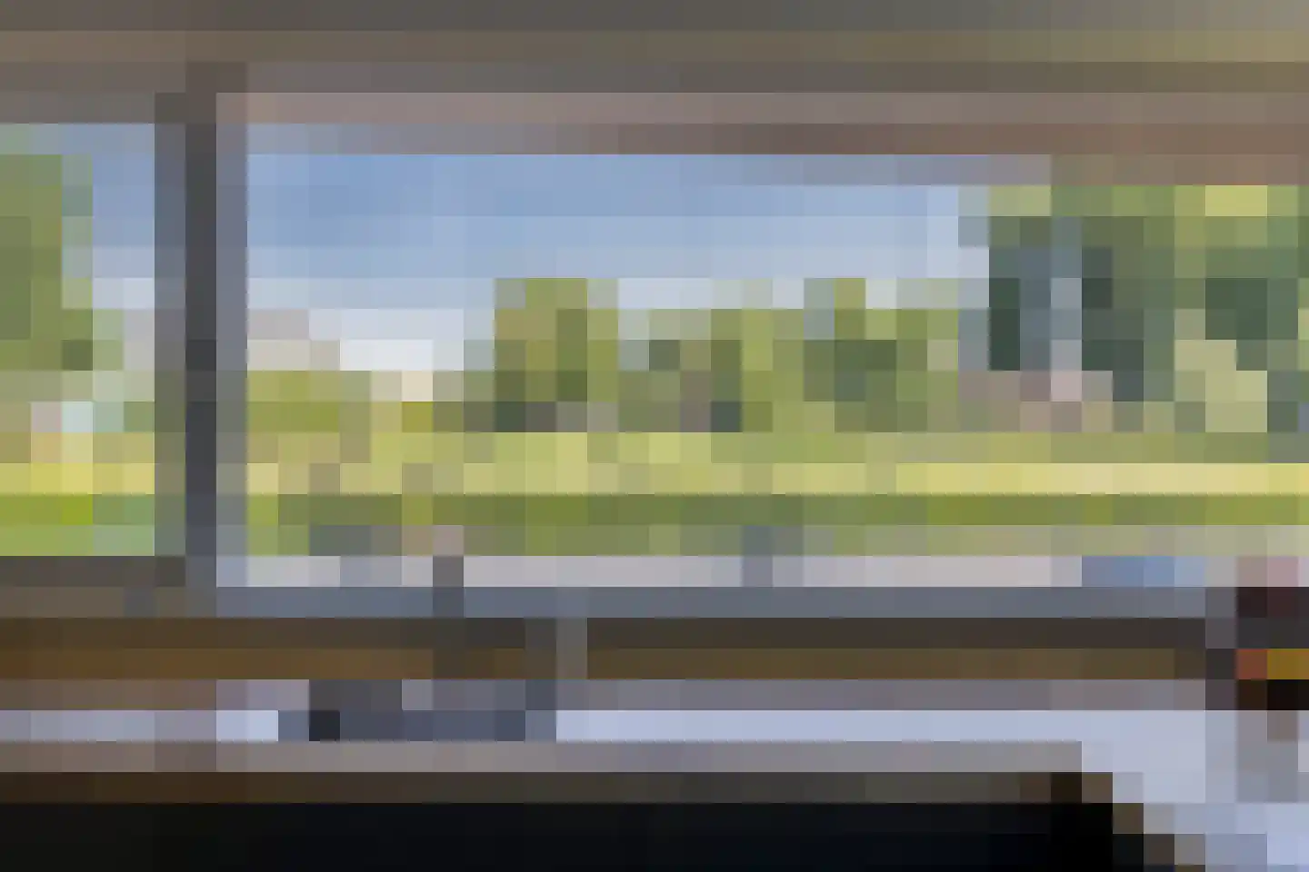 Grassavanne 58 Eindhoven thumbnail 17