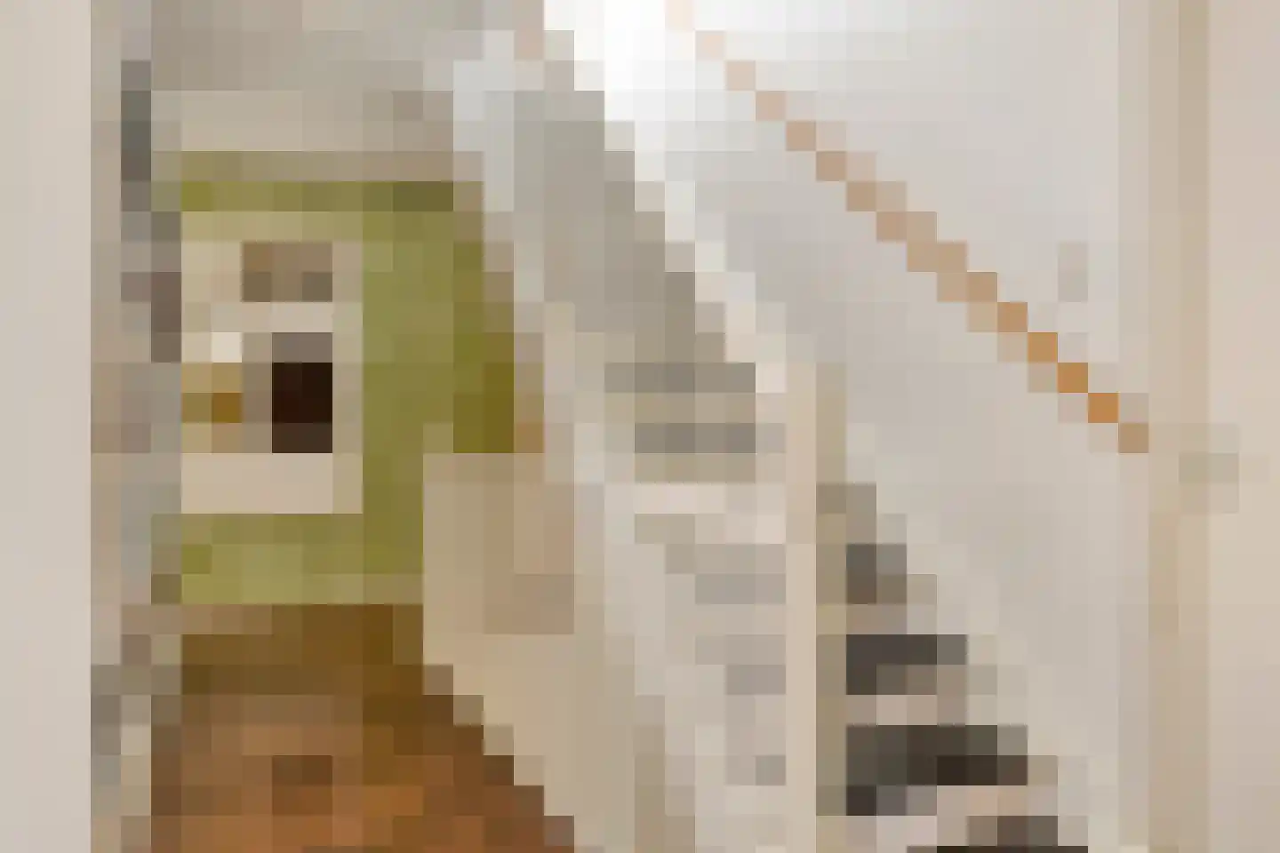 Grassavanne 58 Eindhoven thumbnail 33