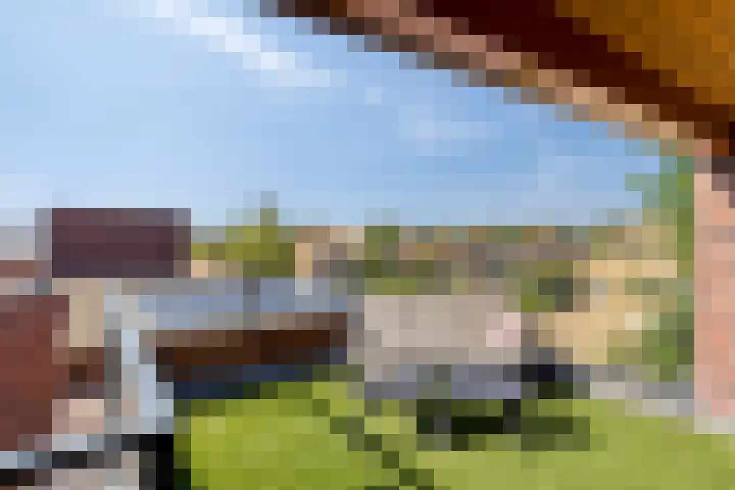 Grassavanne 58 Eindhoven thumbnail 37