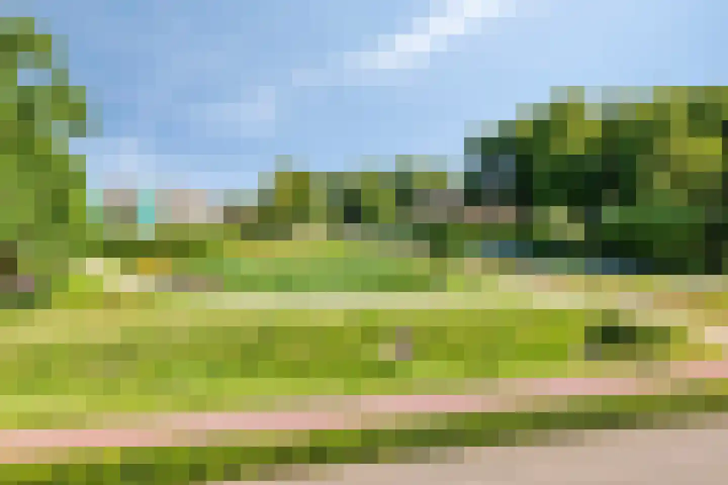 Grassavanne 58 Eindhoven thumbnail 38