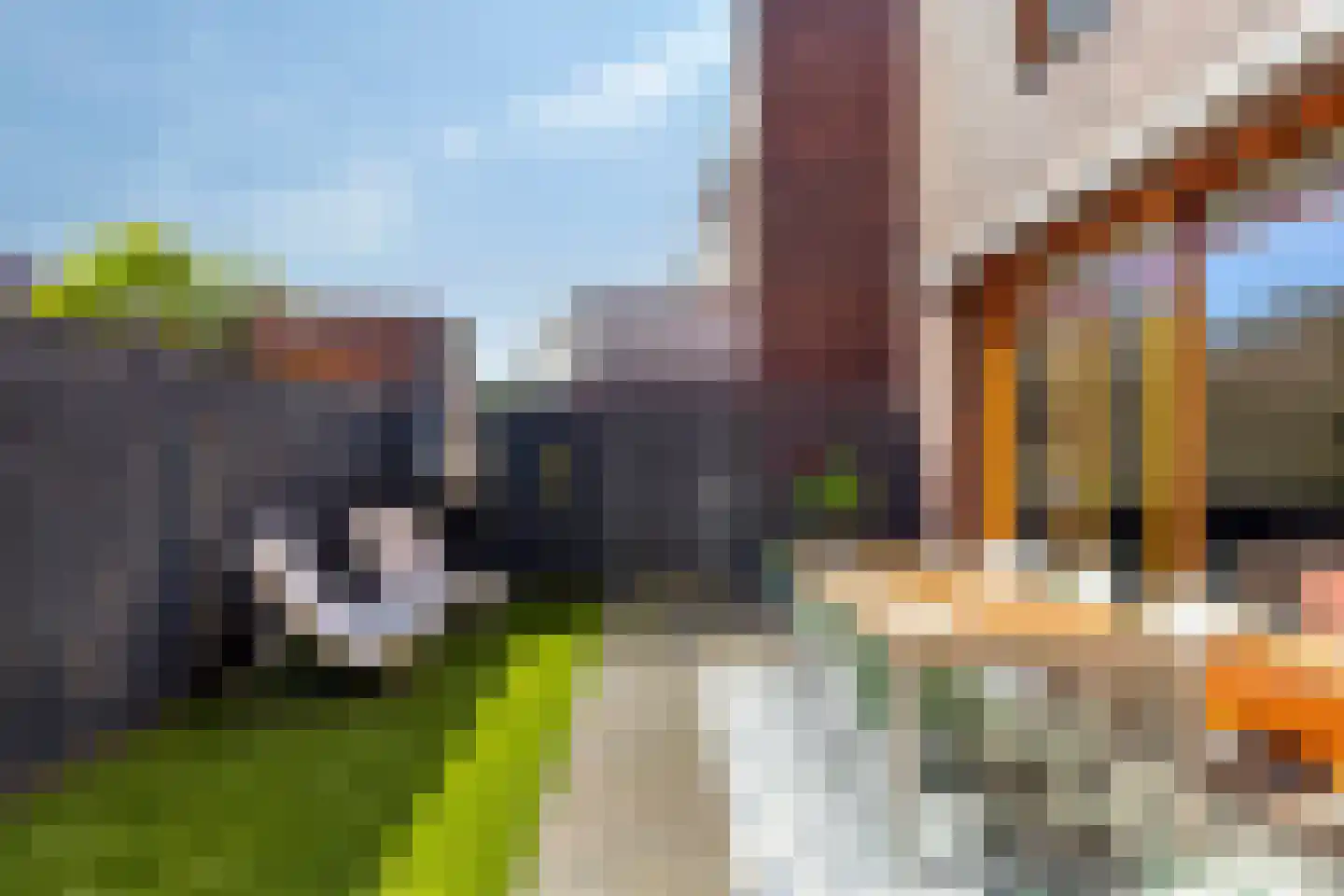 Grassavanne 58 Eindhoven thumbnail 42
