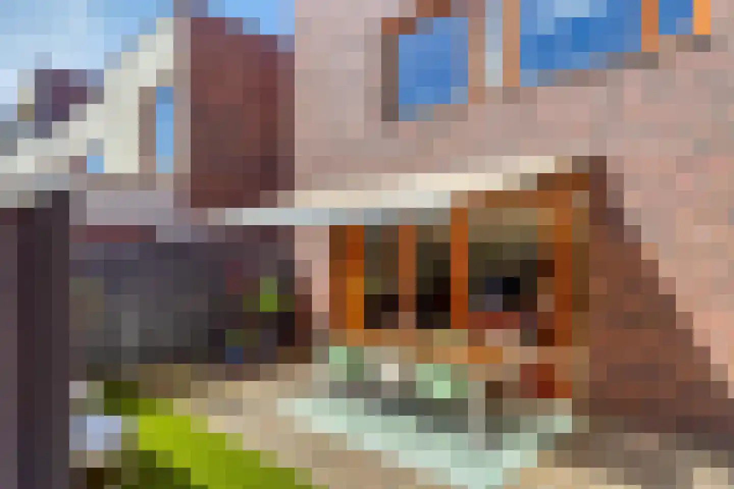 Grassavanne 58 Eindhoven thumbnail 43