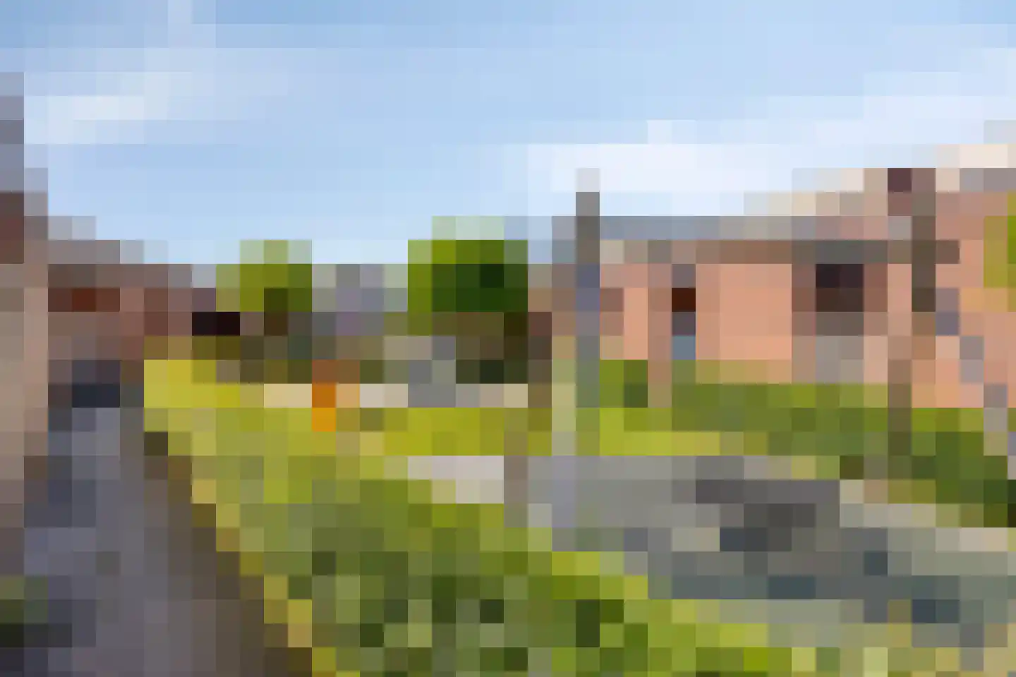 Grassavanne 58 Eindhoven thumbnail 44